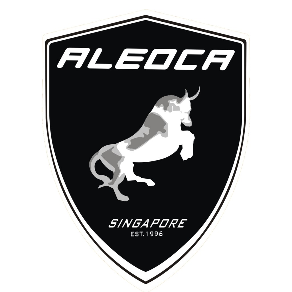aleoca calle 中国製 自転車 レビュー