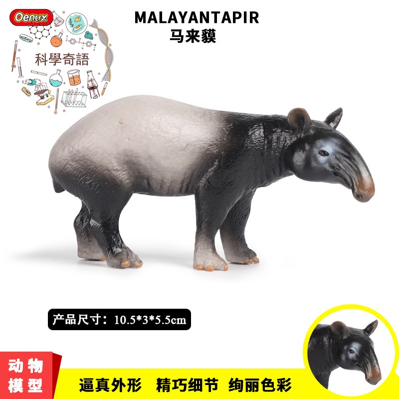 Science Chinese Simulation Wild Model Solid Malay Tapirs Asian Tapirs Shopee Singapore