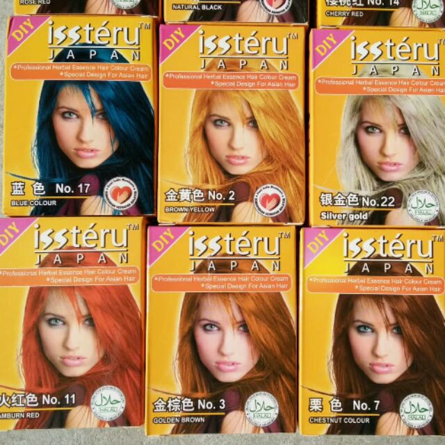 Fash Ship Dye Rambut Hair Dye Diy Rambut Halal Dye Rambut Issteru Dan Set Berus Dye Fast Ship Shopee Singapore