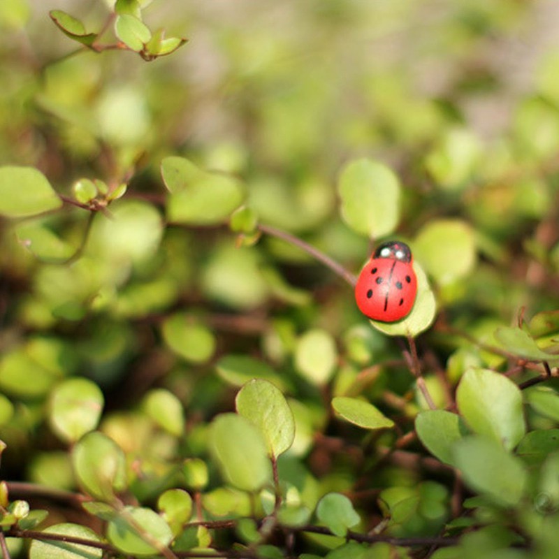 100pcs Ladybug Ornament Miniature Ornaments for Garden Flower Plant