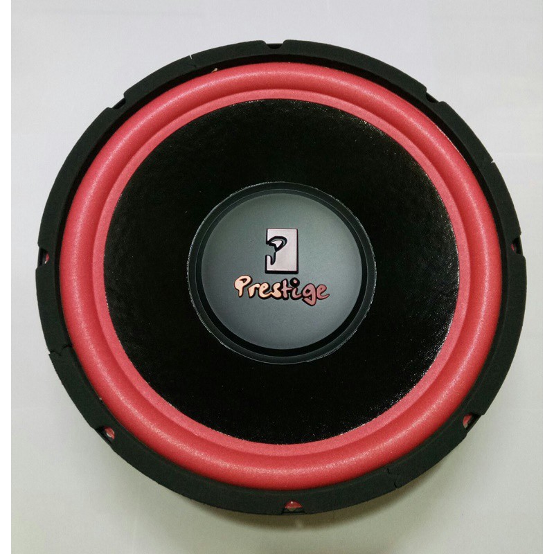 8 ohm 10 watt speaker