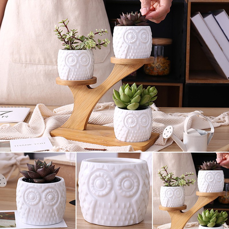 3 Pack Ceramic Flower Plant Pot With 3 Tier Bamboo Shelf Stand Home Garden Decor Shopee Singapore