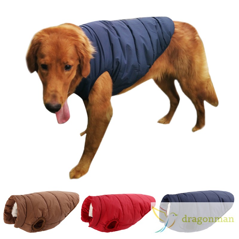 small dog jackets