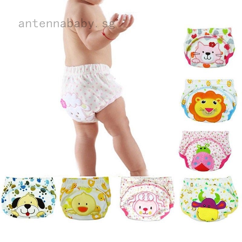 potty training reusable nappies