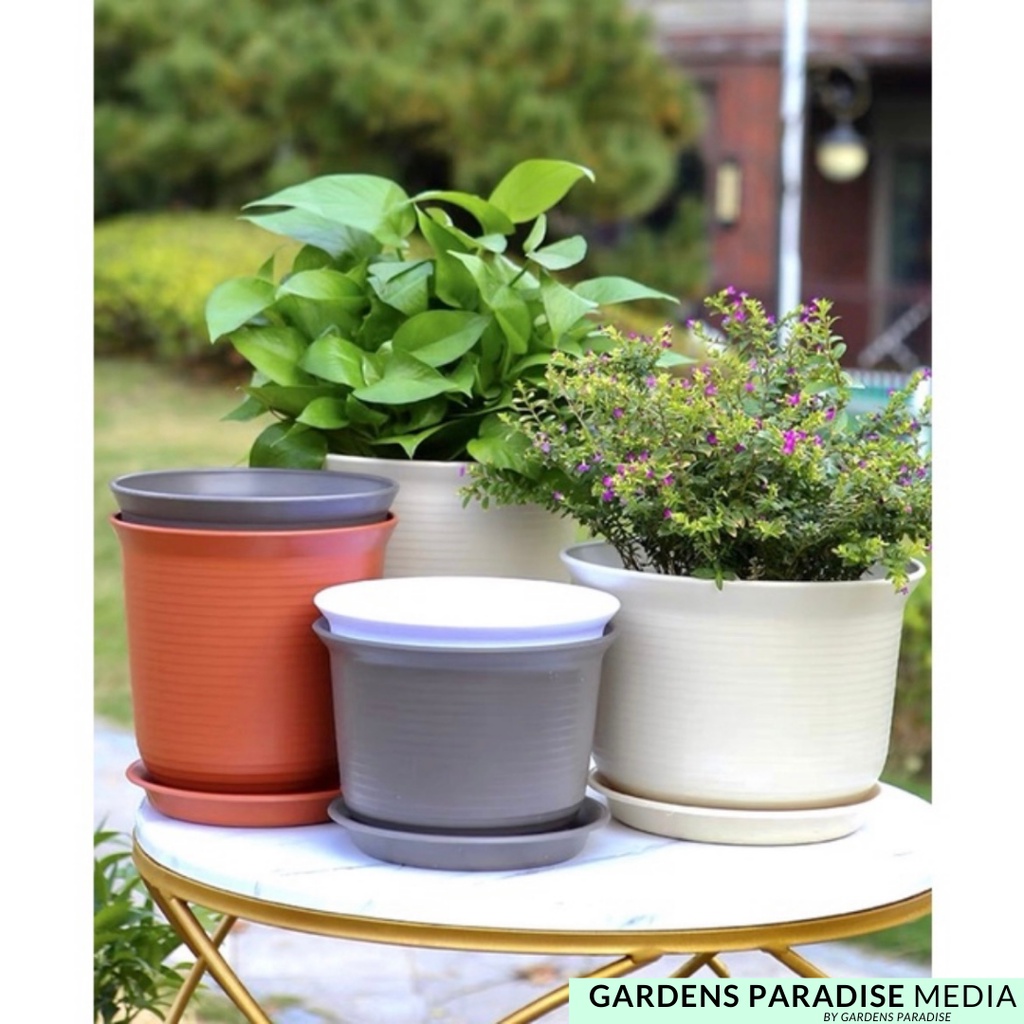 HIGH QUALITY Gardening Round Pots With Drainage Hole and Base Tray By  Gardens Paradise