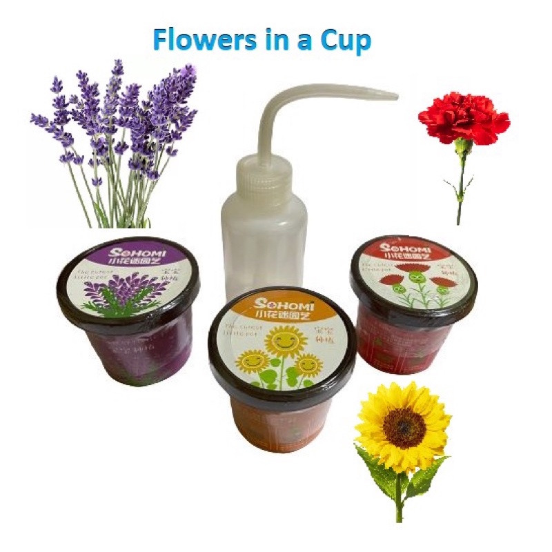 Flower Growing Kit (3 Flowers Types + 1 Bottle) Shopee Singapore