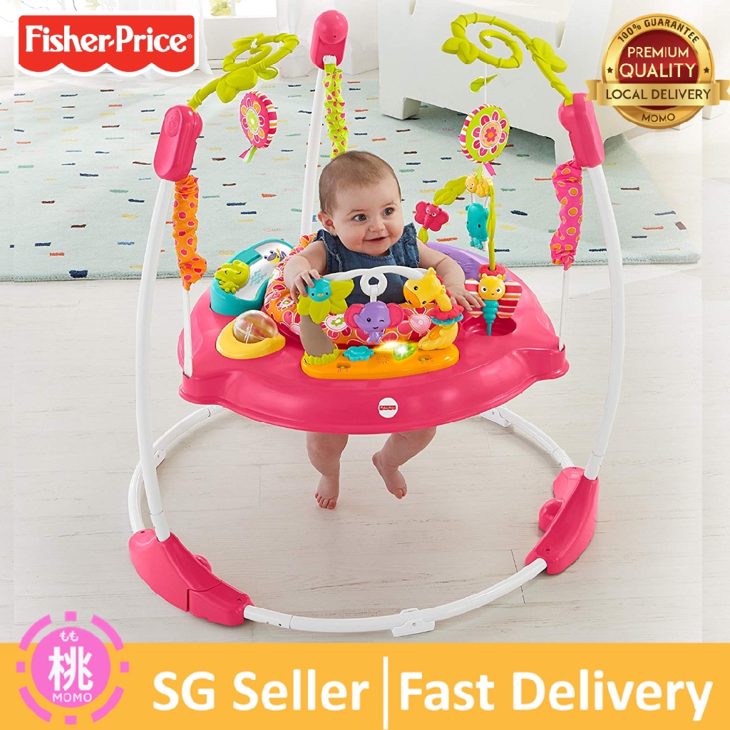 fisher price jumperoo color climbers