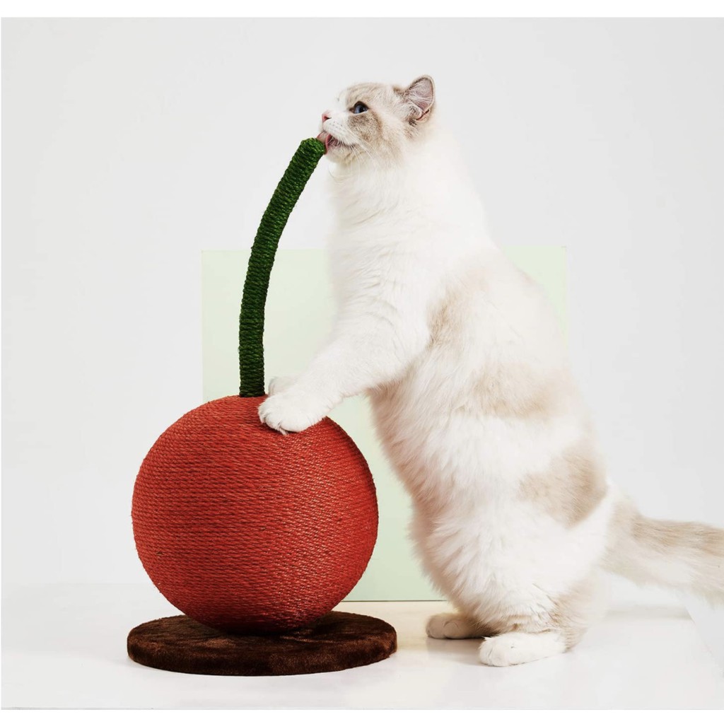 cat scratching a post