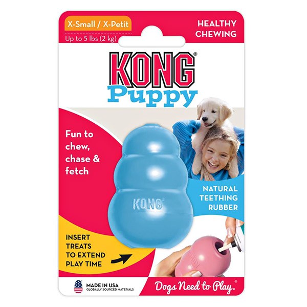 blue rubber dog toy