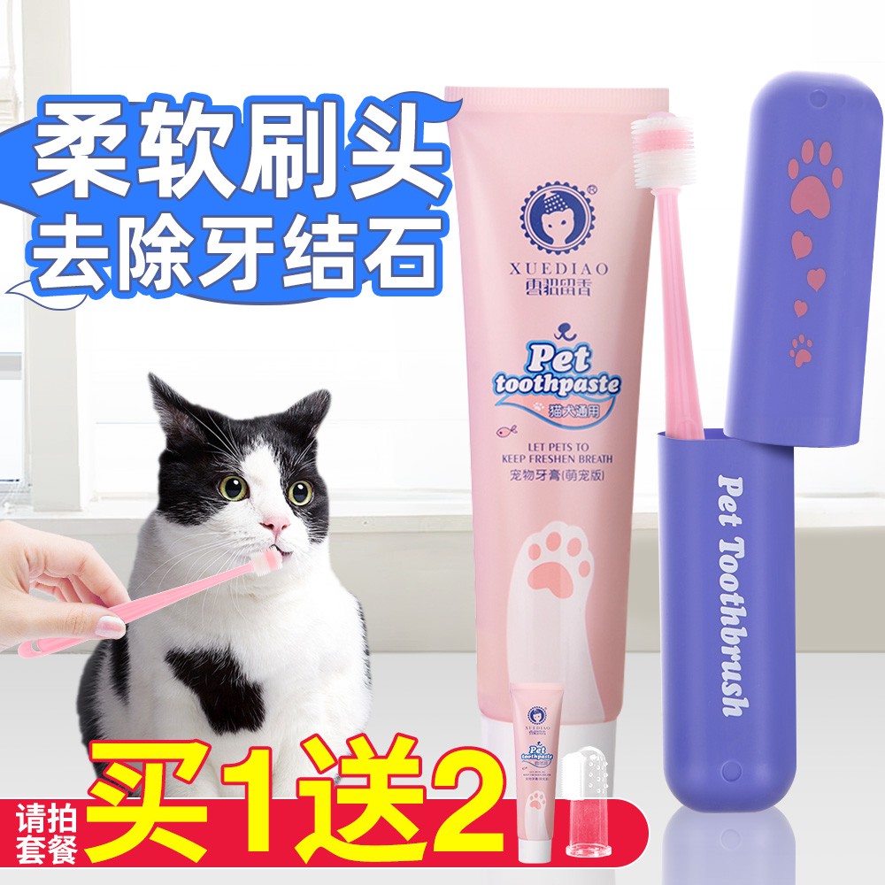 cat toothbrush toothpaste