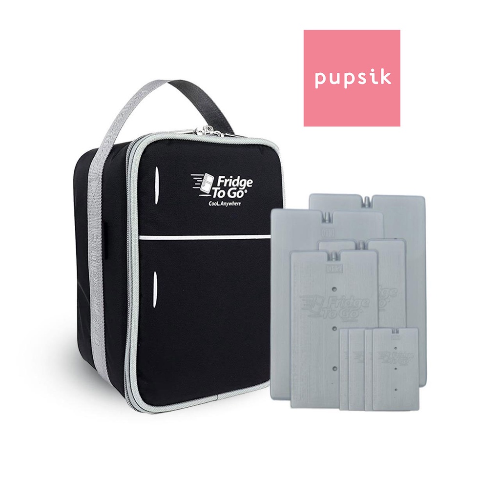 FridgeToGo Mini Fridge SB Cooler Bag Black Shopee Singapore