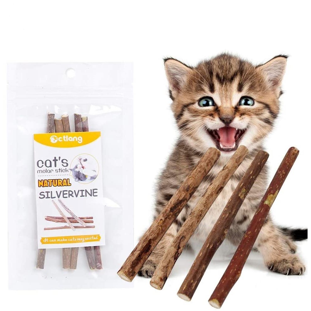 cat chew toys