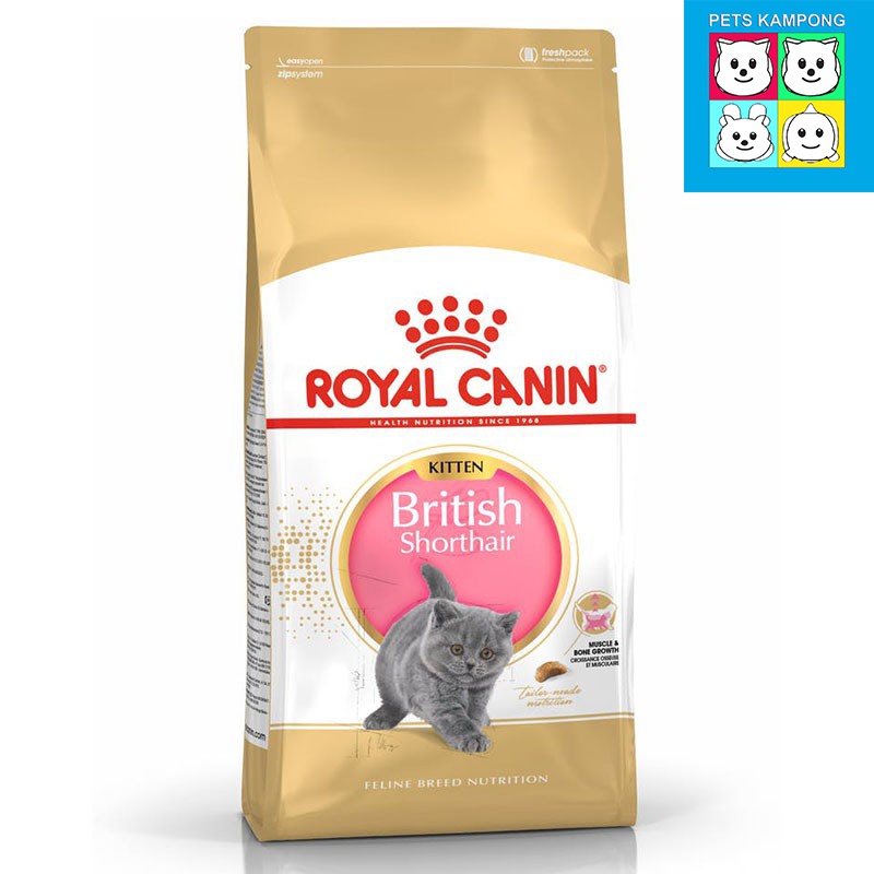 Royal Canin British Shorthair Kitten 400g Bundle Of 3 Shopee Singapore