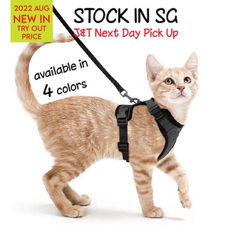 Cat Harness Dog Harness and Leash