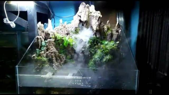 8100 Contoh Hardscape Aquarium HD Terbaik