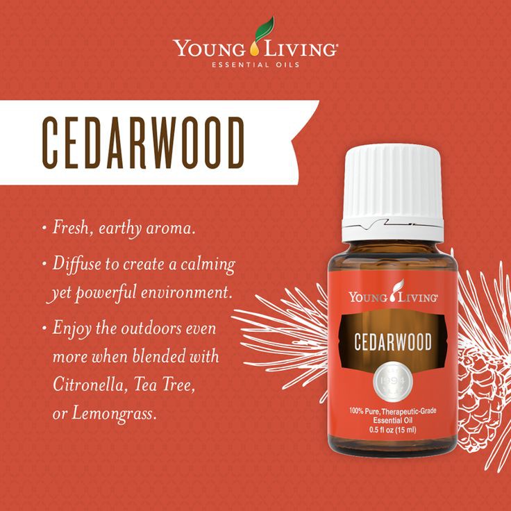 Young Living Cedarwood Essential Oil 15 Ml Shopee Singapore