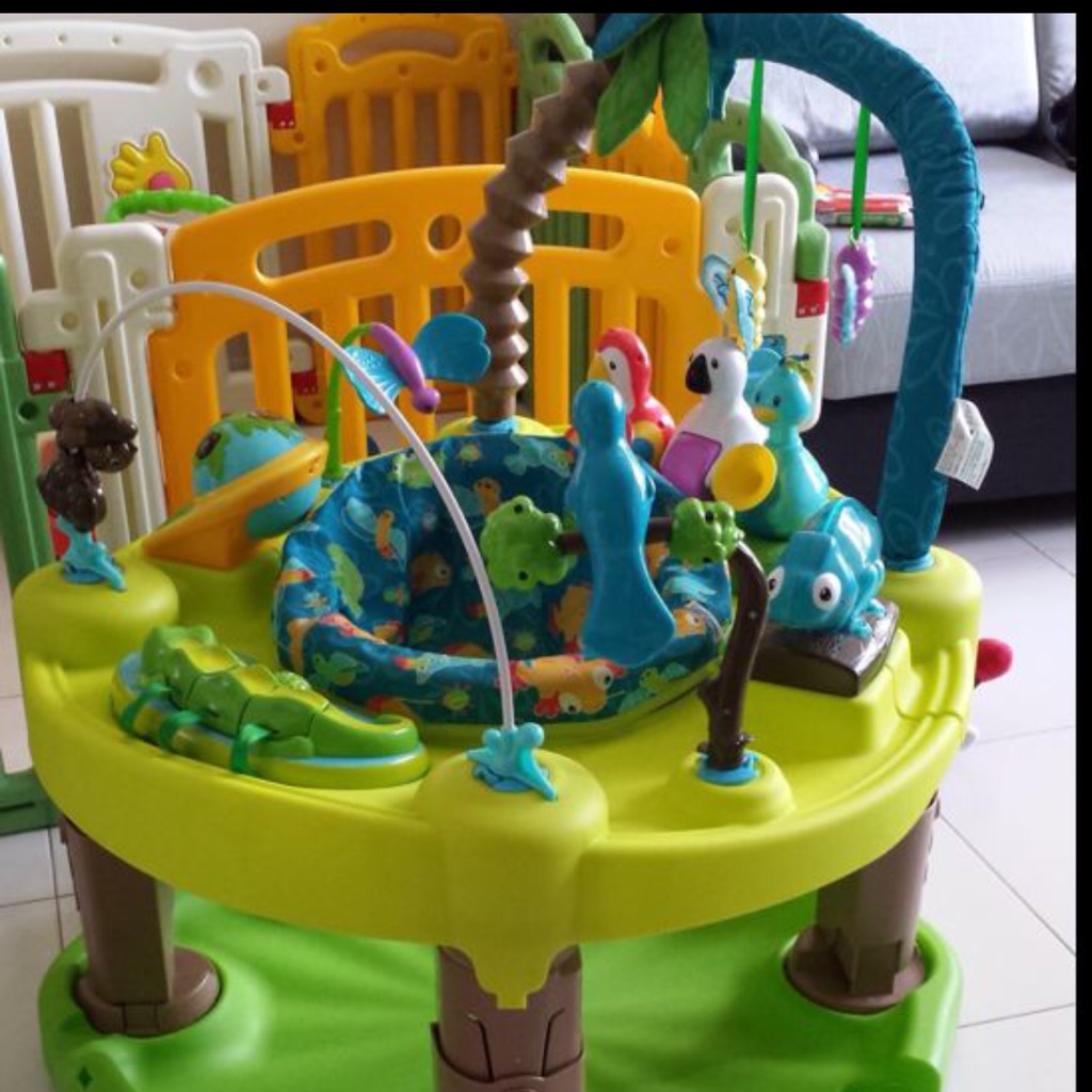 evenflo exersaucer life in the amazon