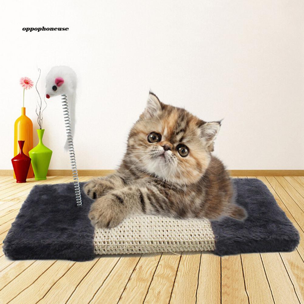 Cat Resistant Carpet Carpet Vidalondon