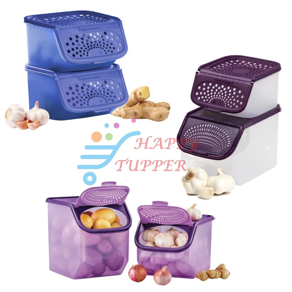 Tupperware Garlic Keeper (2.3L & 3.0L) Shopee Singapore
