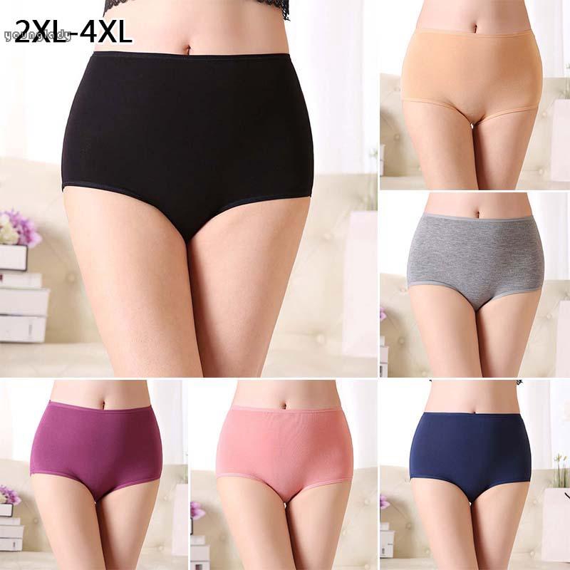 ladies plus size knickers