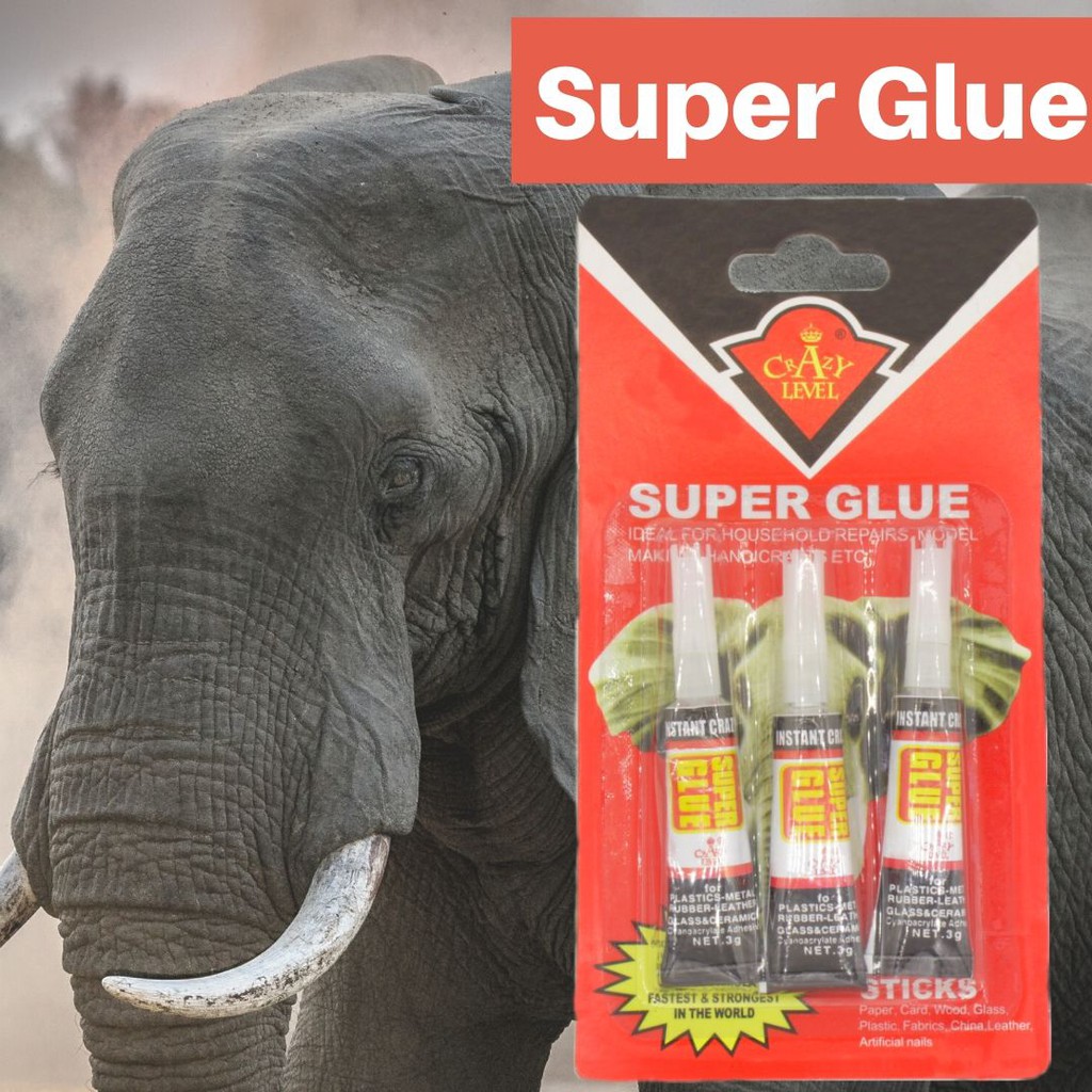 super glue elephant