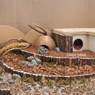 🇸🇬Local Stock🇸🇬 Niteangel Coco Peat / Soft Cork Granule Hamster Bedding Substrate #2
