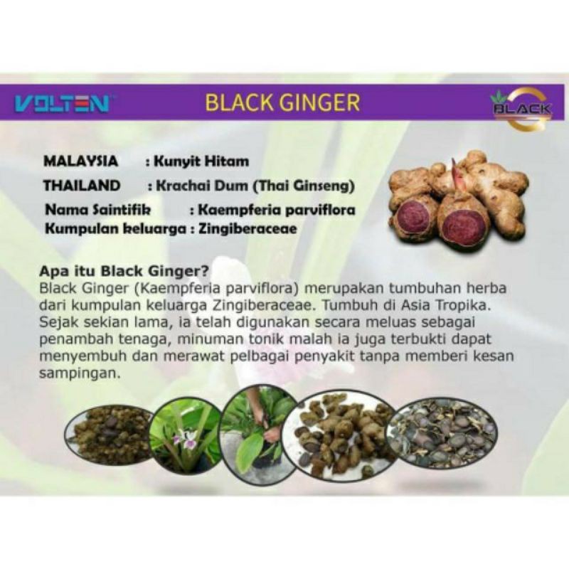 Arabica Dr4 Vcafe Premium Coffee Meslan Herbalist