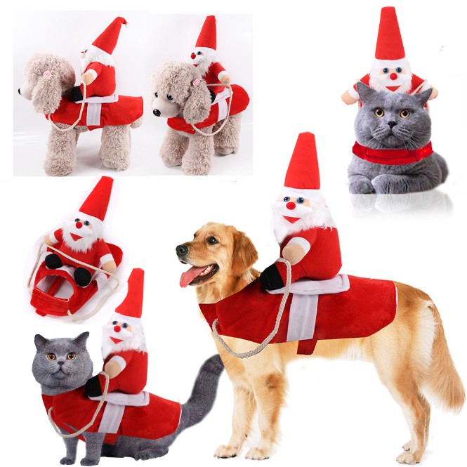 dog christmas clothes