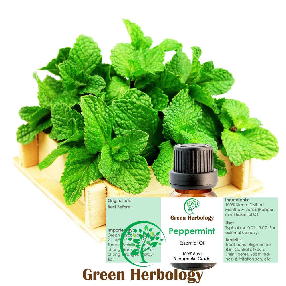 Natural Peppermint Essential Oil Malaysia 5ml With Iso 9001 Cert Shopee Singapore