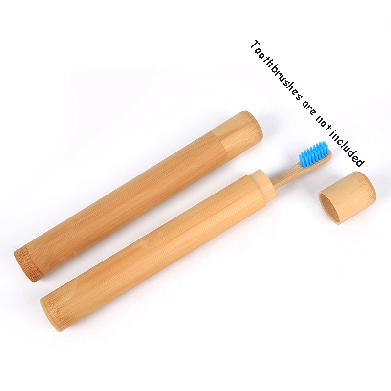 eco friendly toothbrush travel case