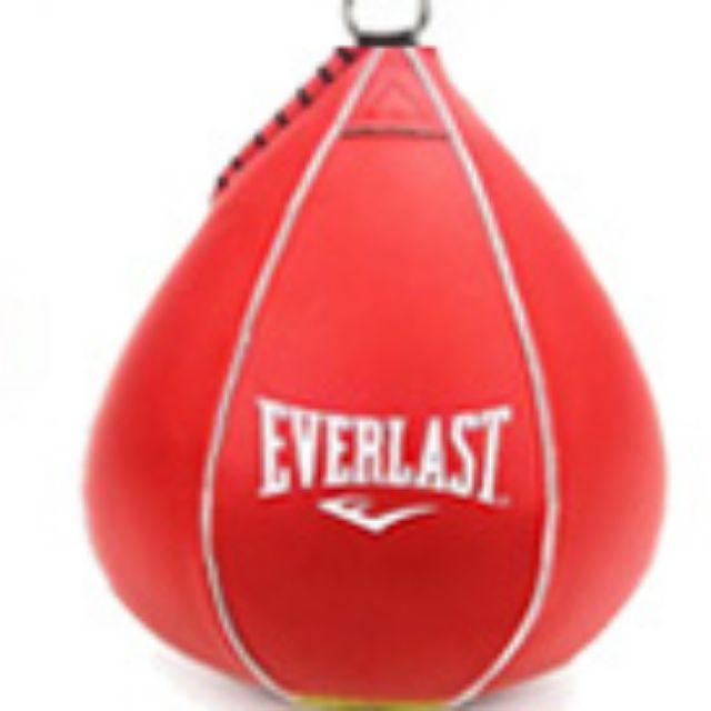 everlast boxing ball