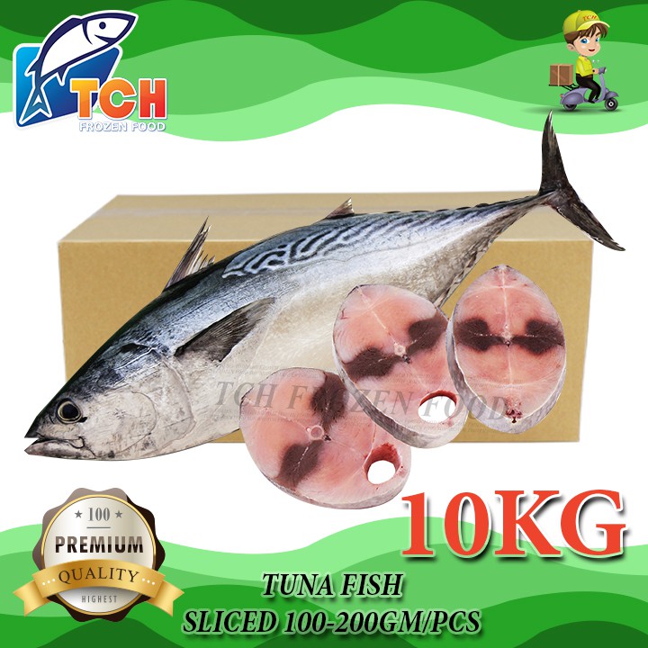 IKAN TONGKOL, TUNA FISH TCH FROZEN FOOD, FRESH FROZEN SEAFOOD, WHOLESALE SUPPLIER, FISH, SALMON, SOTONG, UDANG
