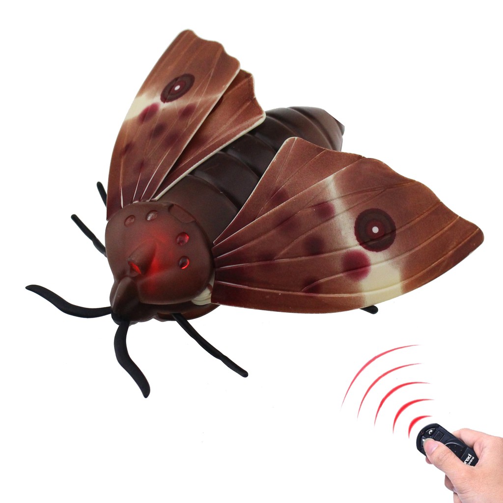 moth toy