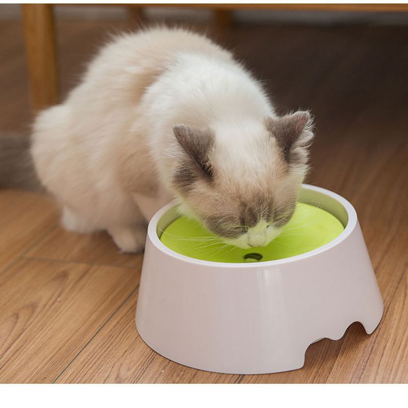 animal water bowl