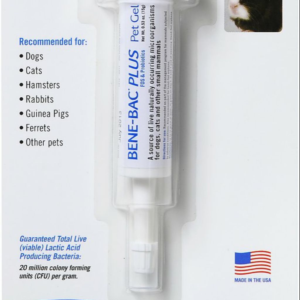 bene bac plus for dogs