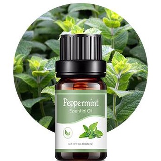 【LOCAL SELLER】10ml Aroma Essential Oils // Water-soluble Plant Essential Oil For Diffuser Aromatherapy