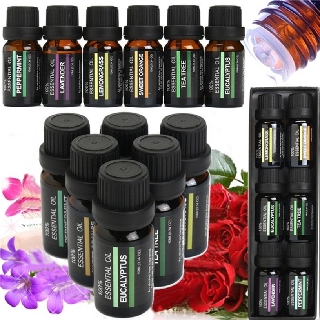 [PREMIUM ESSENTIAL] 6 Scents Top 6 100% Essential Oil Set Aromatherapy Aroma Oil Stress Relief Air Humidifier Diffuser #5
