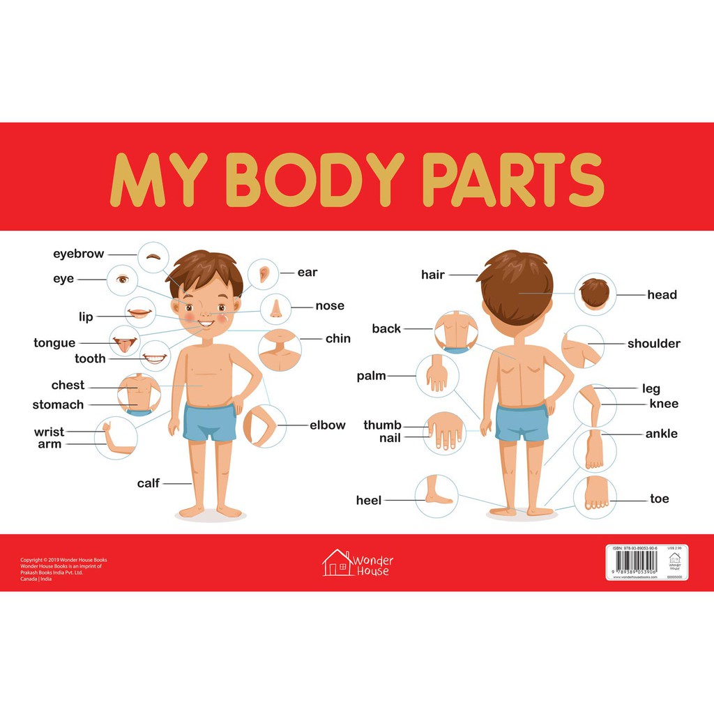 My Body Parts Chart - Early Learning Educational Chart For Kids ...