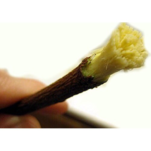 zaitoon miswak stick