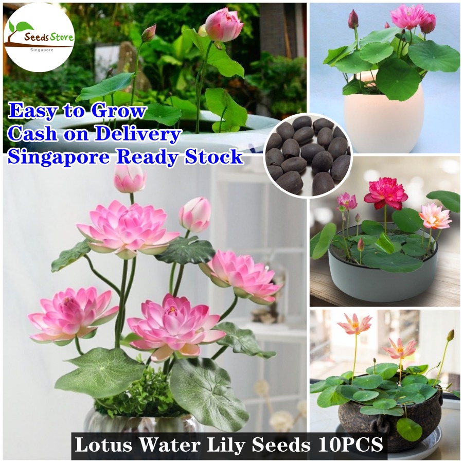 bonsai lampe led Cherry Blossom Bonsai Tree LED Night Light – USB/Battery Powered Touch —  Clasterior main image 0