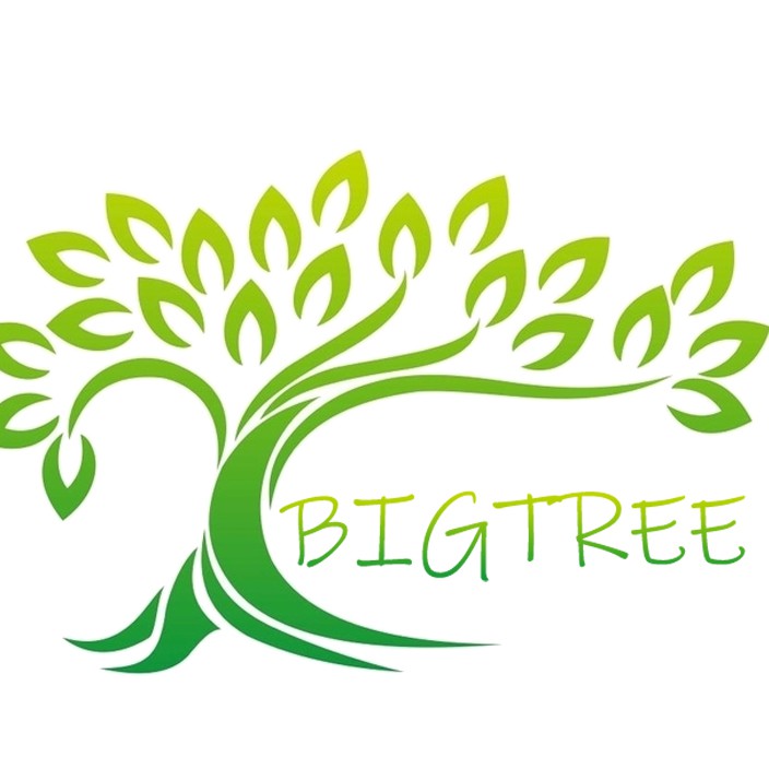 Bigtree.sg store logo