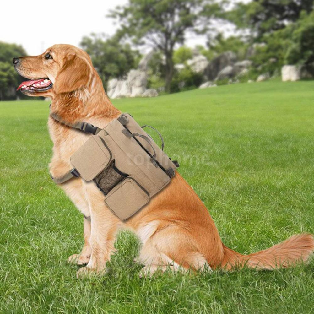 dog hiking bag