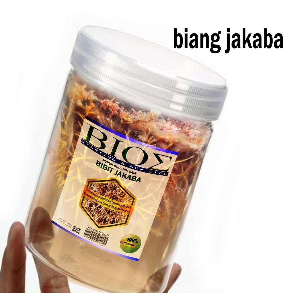 bg