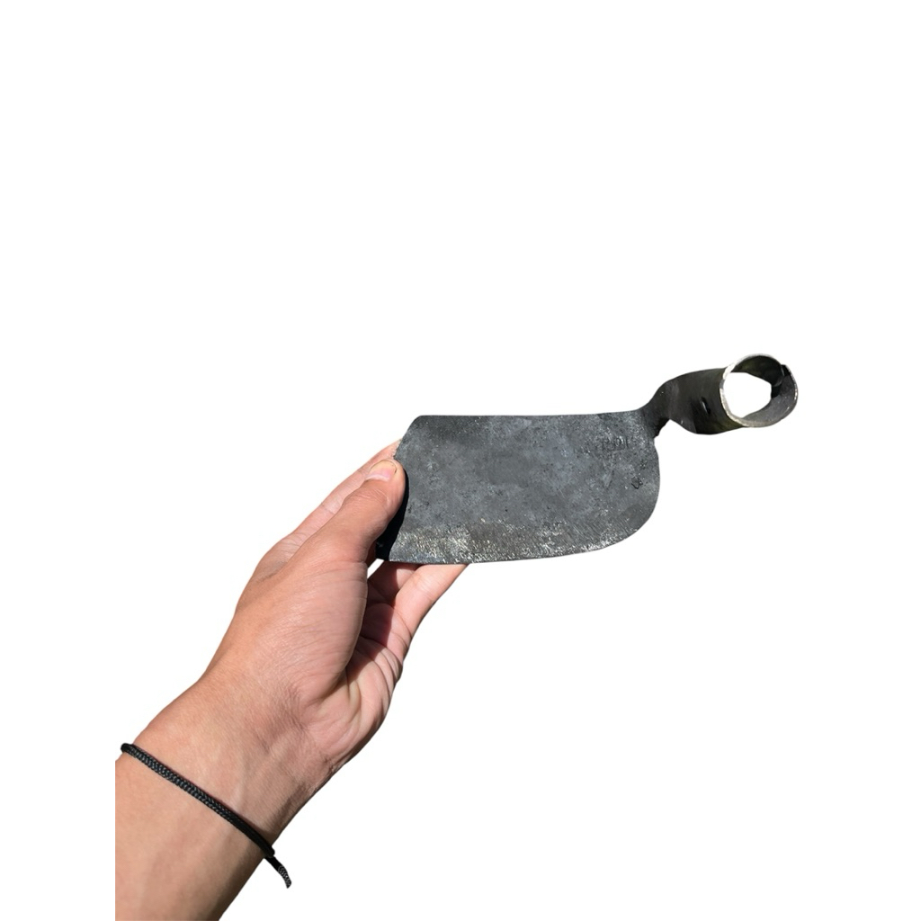 bg