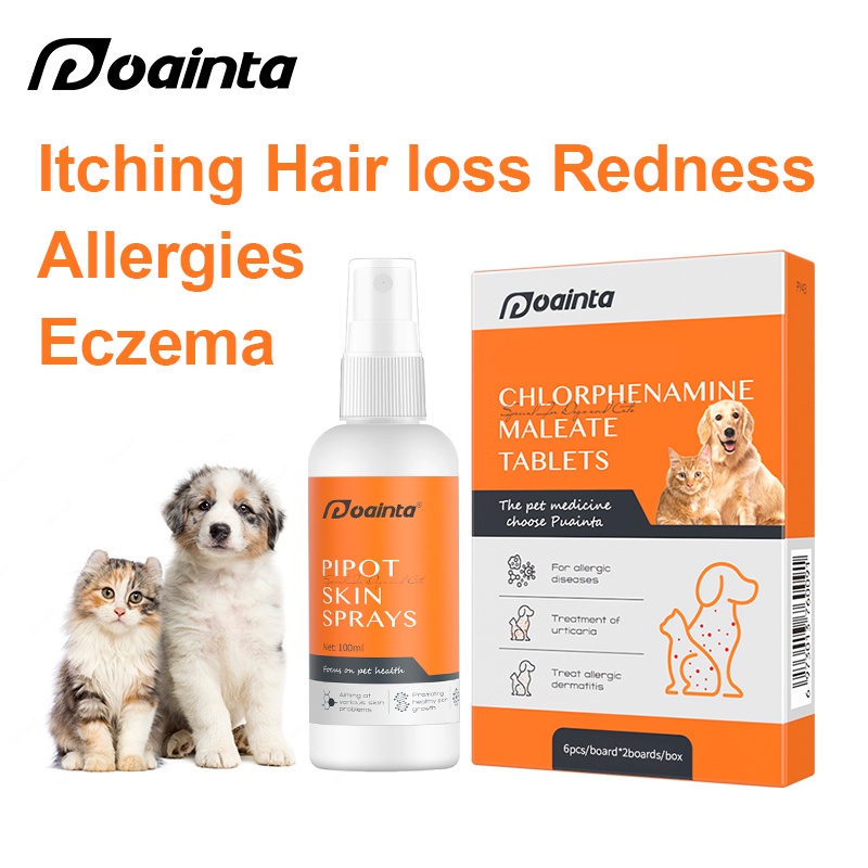 pet box - Pet Healthcare Prices and Deals - Pet Food & Supplies Mar 2023 |  Shopee Singapore