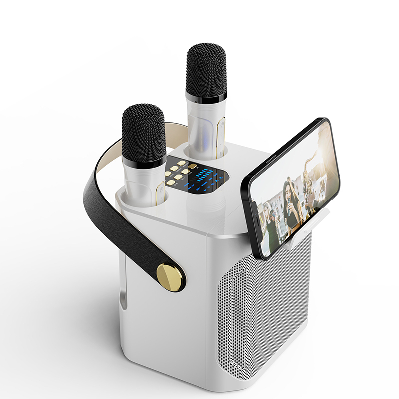 3D stereo speaker portable wireless Bluetooth dual microphone speaker karaoke with free microphone