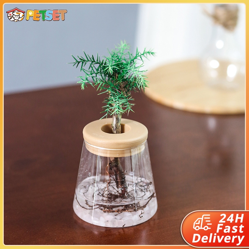 Stylish Glass Bottle Wood Transparent Hydroponic Plant Flower Vases Nordic Minimalist In Stock