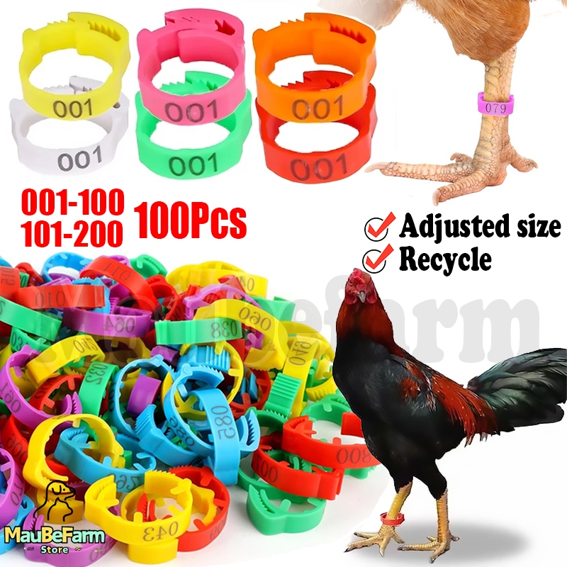 50/100Pcs Chicken Foot Ring Poultry Leg Band Ring Adjustable Clip Band for Duck Chicken Goose