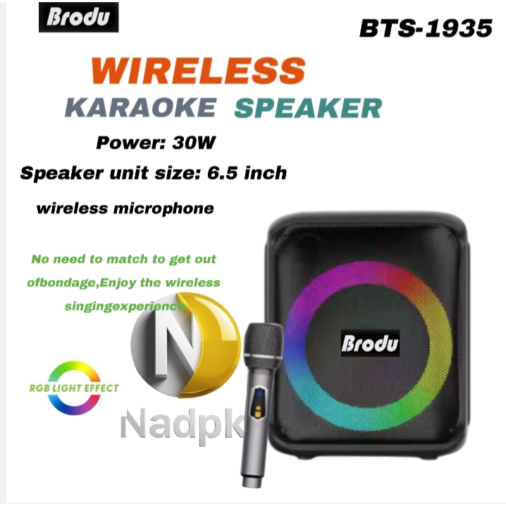 Brodu BTS-1935 6.5 imch IKARAOKE BOX professional system Bluetooth speaker with microphone
