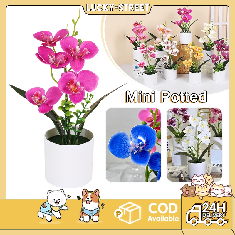 Artificial Orchid Flowers Mini Potted with Vase for Home Office Wedding Table Centerpiece Decoration